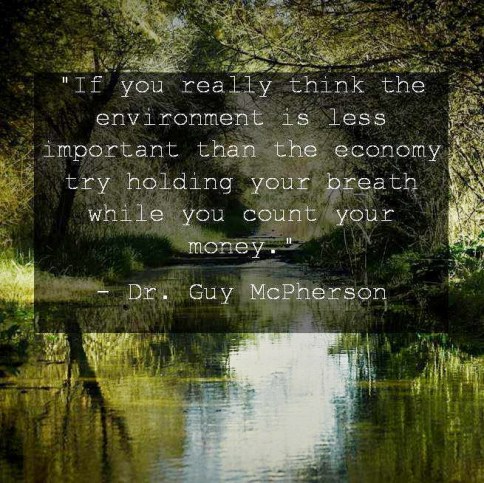 Deforestation - Economy more important than environment