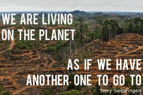 Environmental - Deforestation New 01