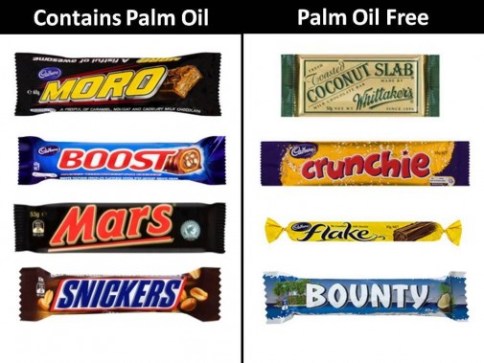 Environmental - Deforestation New 04