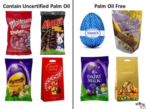 Environmental - Deforestation new 2 4