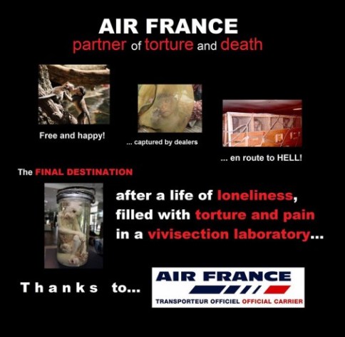 Laboratory testing - monkeys