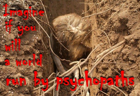 Trophy hunters - Psychos imagine a world run lion