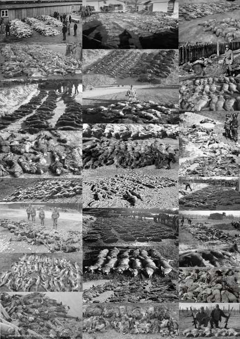 Trophy hunters - Bodies holocaust