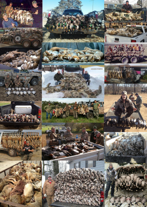 Trophy hunters - Comp Varminting vehicles Copy