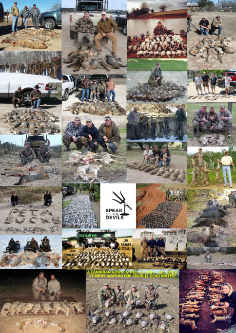 Untitled design (88)