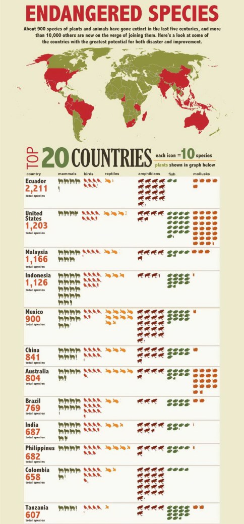 Message - Engandered species 1