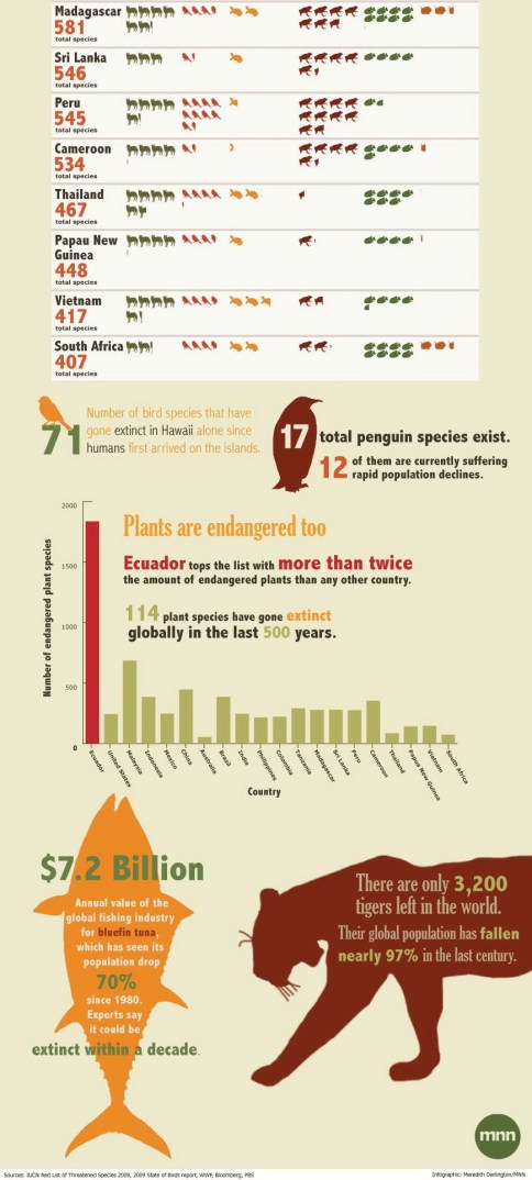 Message - Engandered species 2