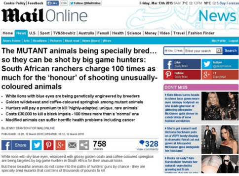 Untitled design (14)