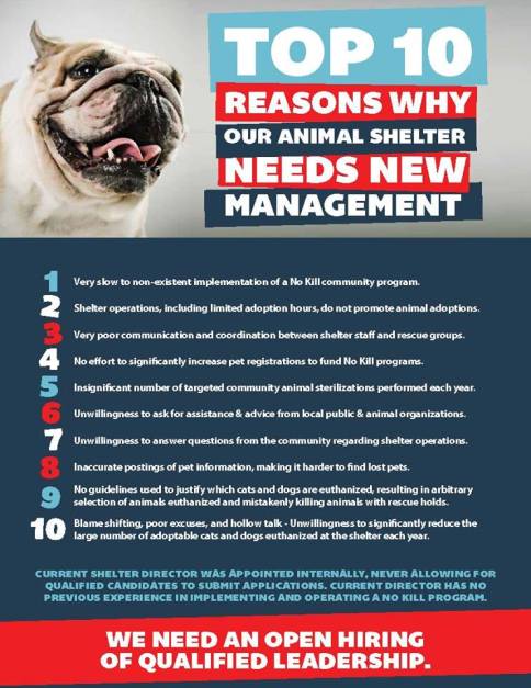 11264969_452005388293413_1938942901308473755_n