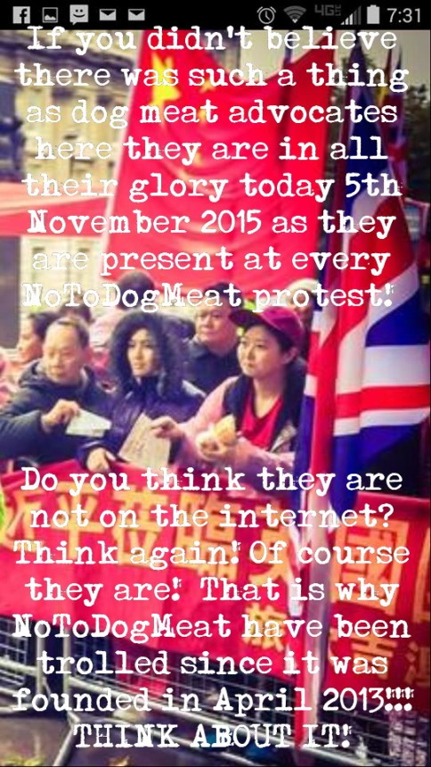 12202306_10205396957745350_1256701889_n (1)