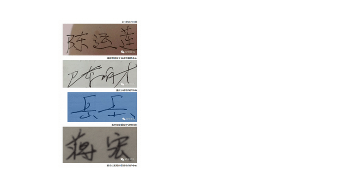 An Investigative Report on the Conditions at Yang Xiaoyun’s Shelter