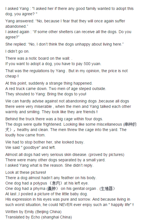 Screen Shot 11-06-15 at 12.54 AM 002