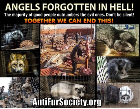 Fur and skin trade - Angels forgotten in hell.jpg