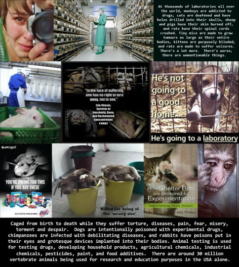 Laboratory testing - Comp USE