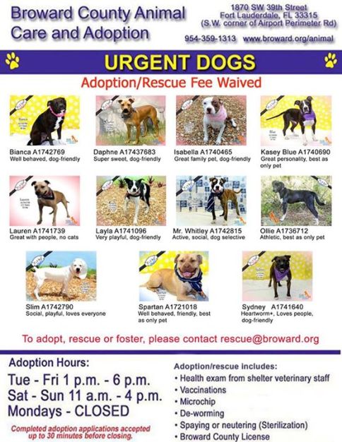 11026233_862570817166597_4216872246356050930_n